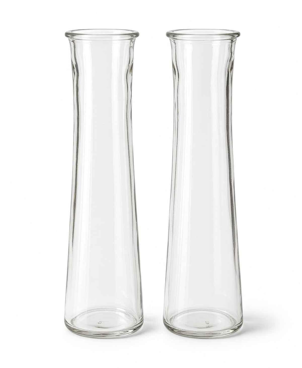 Fiora Tall Clear Glass Bottle Bud Vase Set (SET OF 2)