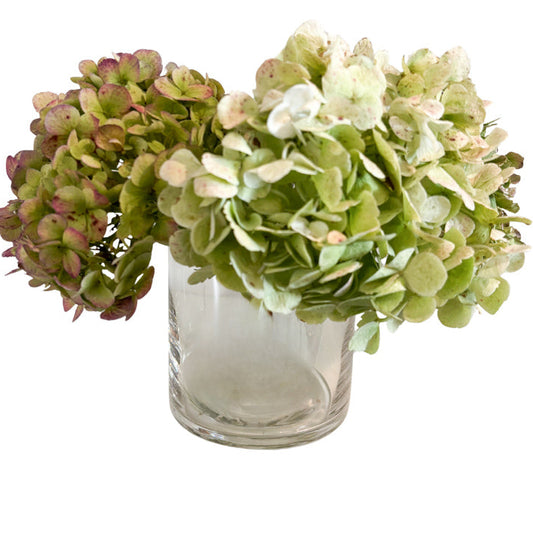 Solara Handcrafted Clear Cylinder Glass Vase
