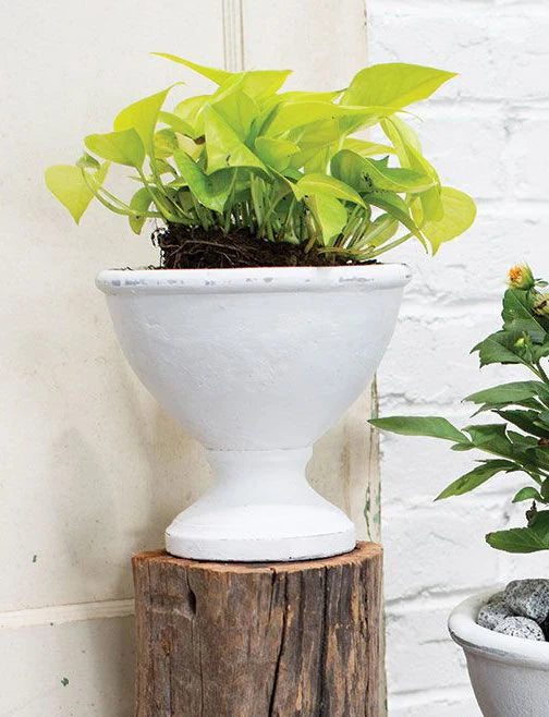 Modern White Ceramic Centerpiece Compote Vase