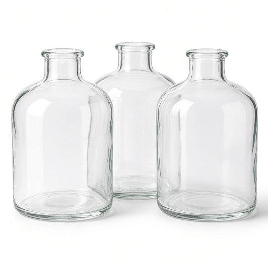 Alana Clear Glass Bud Vases Bottle Set (SET OF 3)