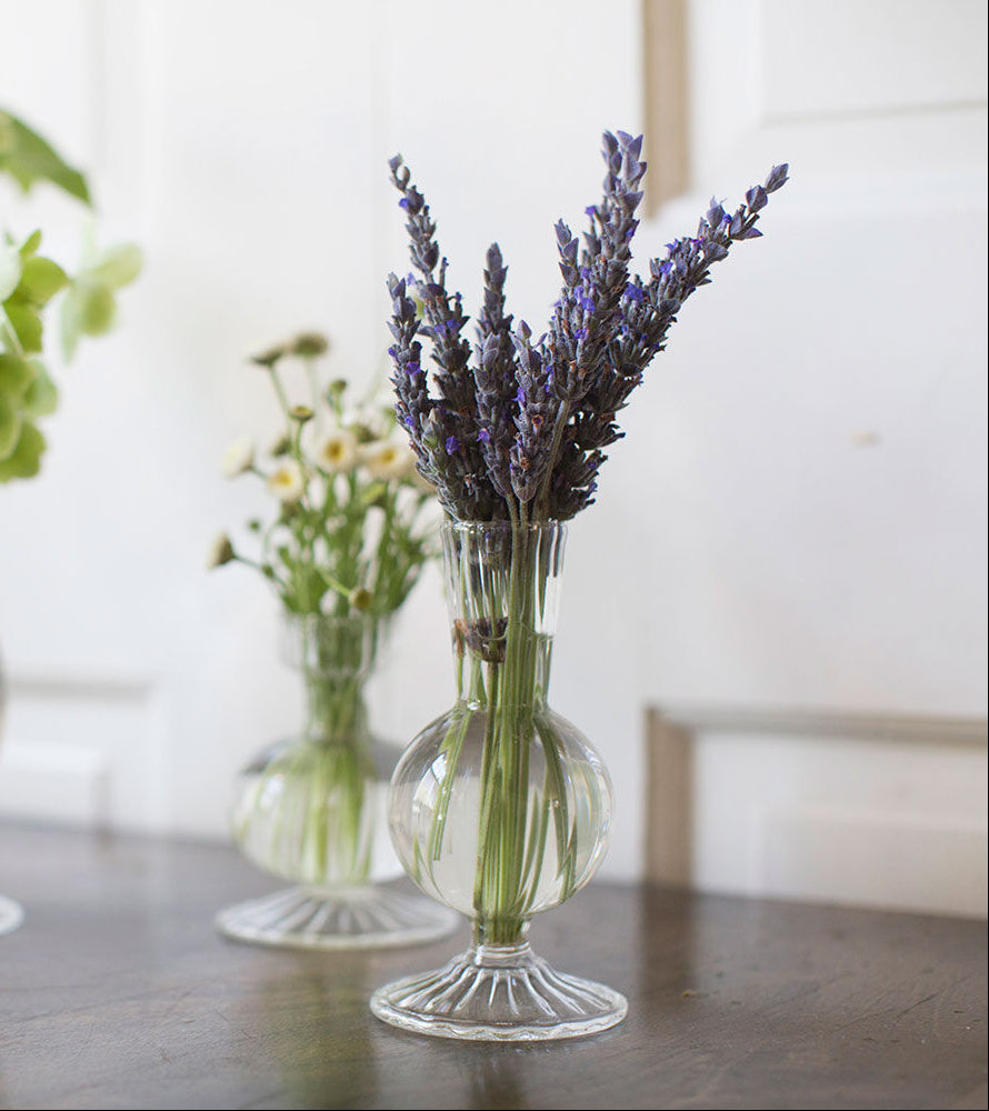 Boutique (Set of 4) Clear Glass Bud Vase