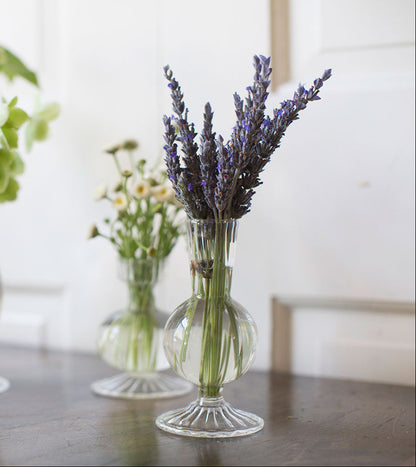 Boutique (Set of 4) Clear Glass Bud Vase