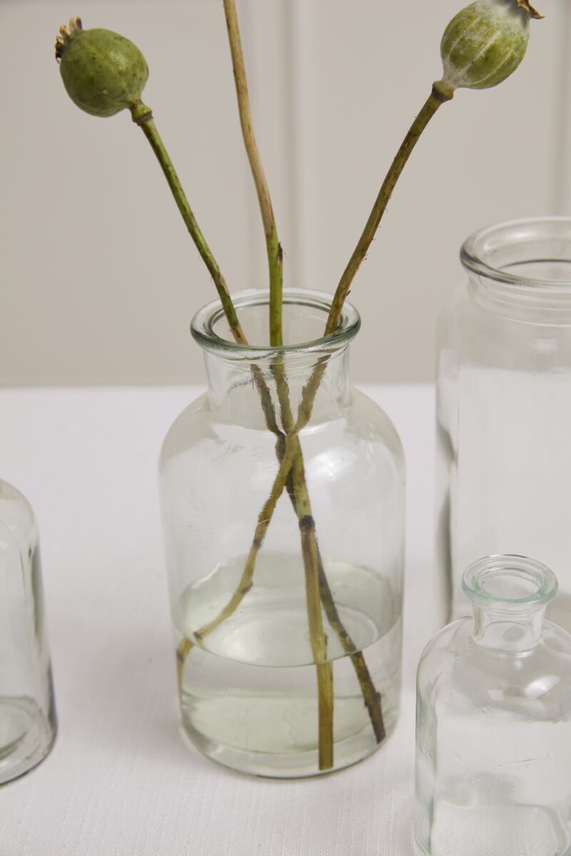 Millie Handcrafted Clear Glass Bud Vase Bottle Set (Set of 2)
