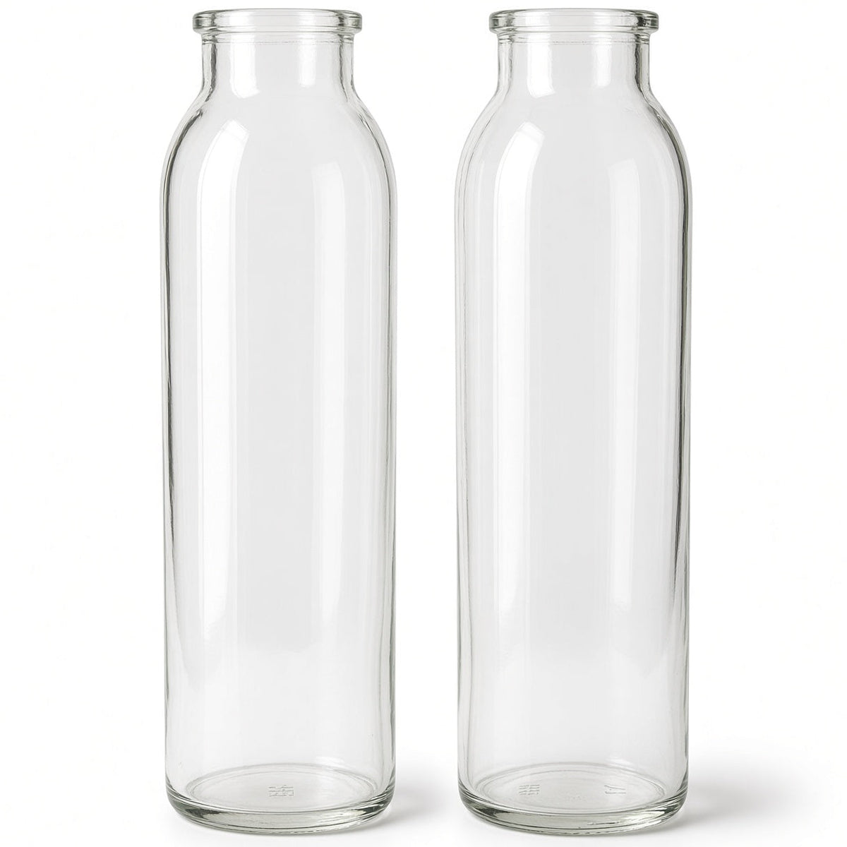 Daisy Clear Glass Bottle Bud Vase Set (SET OF 2)