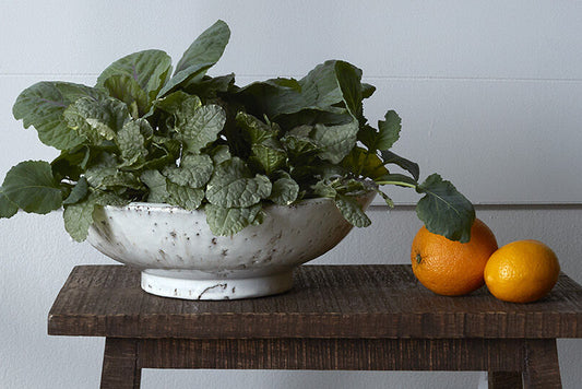 Davina Large White Ceramic Low Compote Bowl