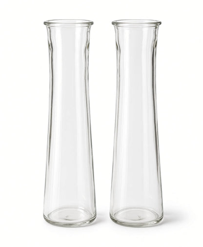 Fiora Tall Clear Glass Bottle Bud Vase Set (SET OF 2)