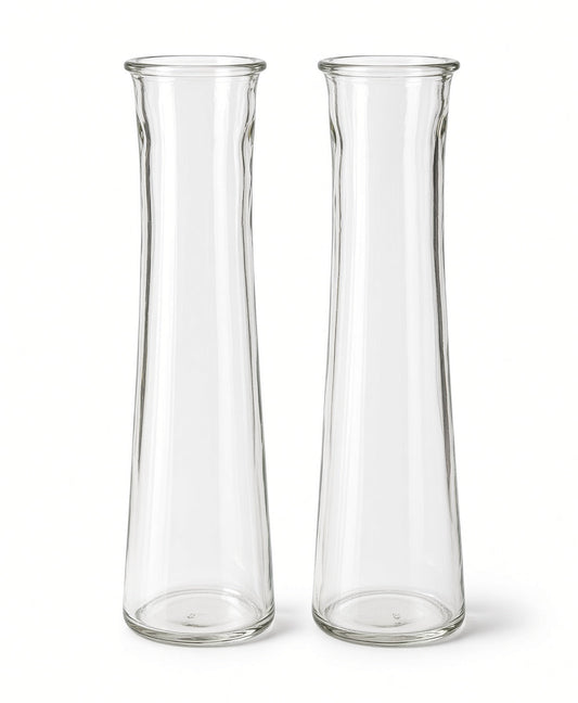 Fiora Tall Clear Glass Bottle Bud Vase Set (SET OF 2)