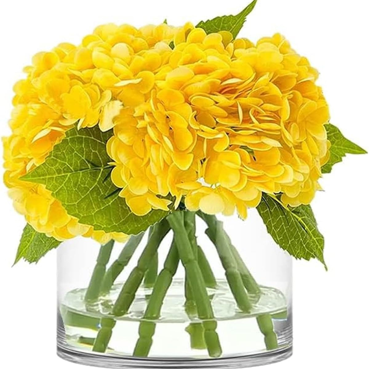 Hand-Blown Clear Glass Cylinder Vase