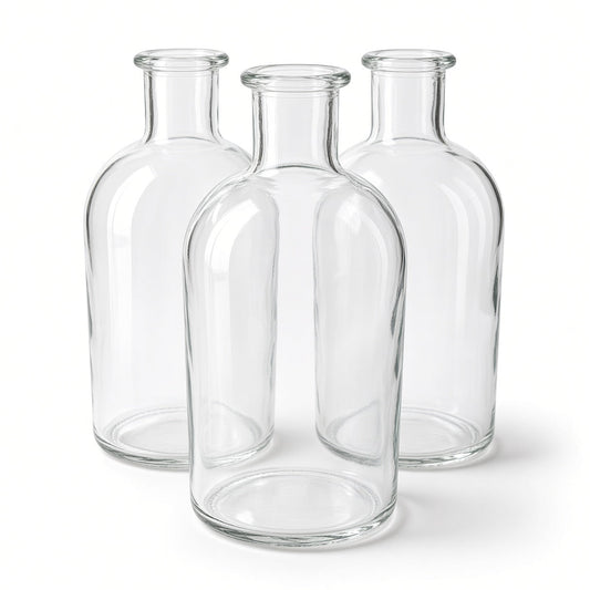 Juniper Clear Glass Bud Vase Bottle Set (SET OF 3)