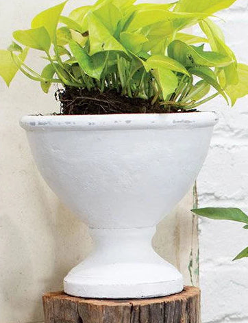 Nova Handmade White Ceramic Compote Vase