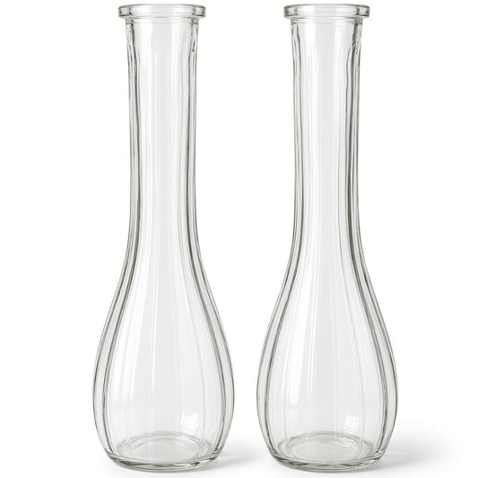 Poppy Tall Clear Glass Bottle Bud Vase Set (SET OF 2)