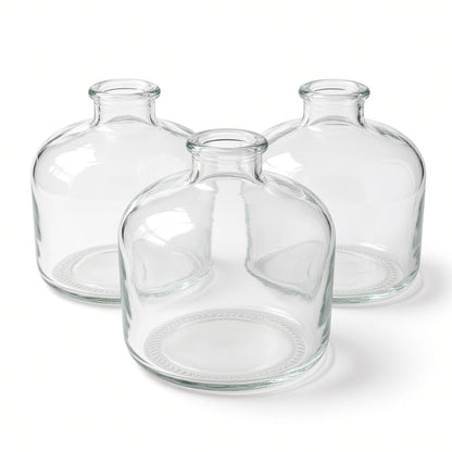 Posey Clear Glass Bud Vase Bottle Set (SET OF 3)