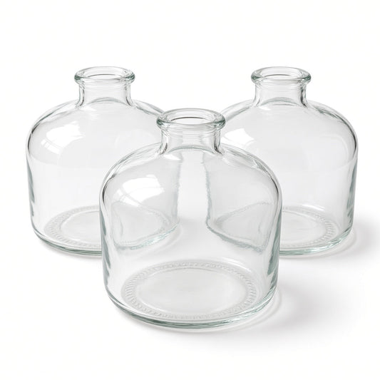 Posey Clear Glass Bud Vase Bottle Set (SET OF 3)