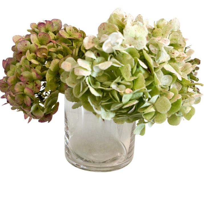 Solara Handcrafted Clear Cylinder Glass Vase