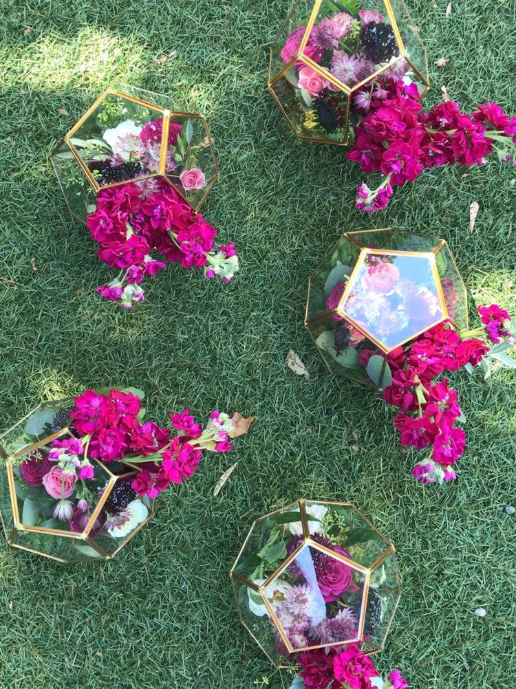 Theo Hexagon Geometric Glass Terrarium Vase