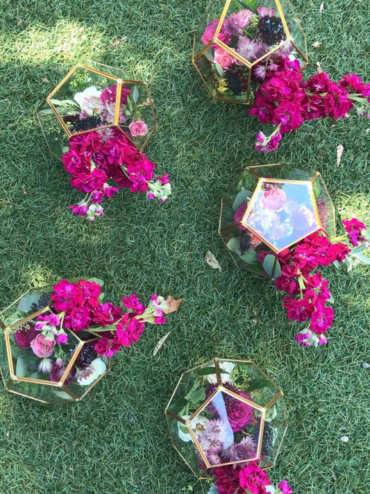 Theo Hexagon Geometric Glass Terrarium Vase