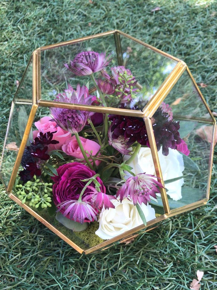 Theo Hexagon Geometric Glass Terrarium Vase